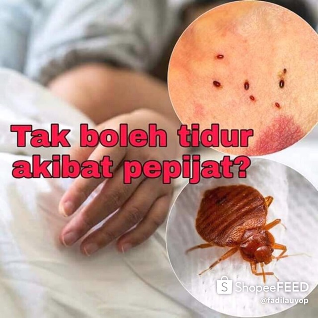Ubat pepijat/ bed bugs *CAMAY INSECT REPELLENT SPRAY 