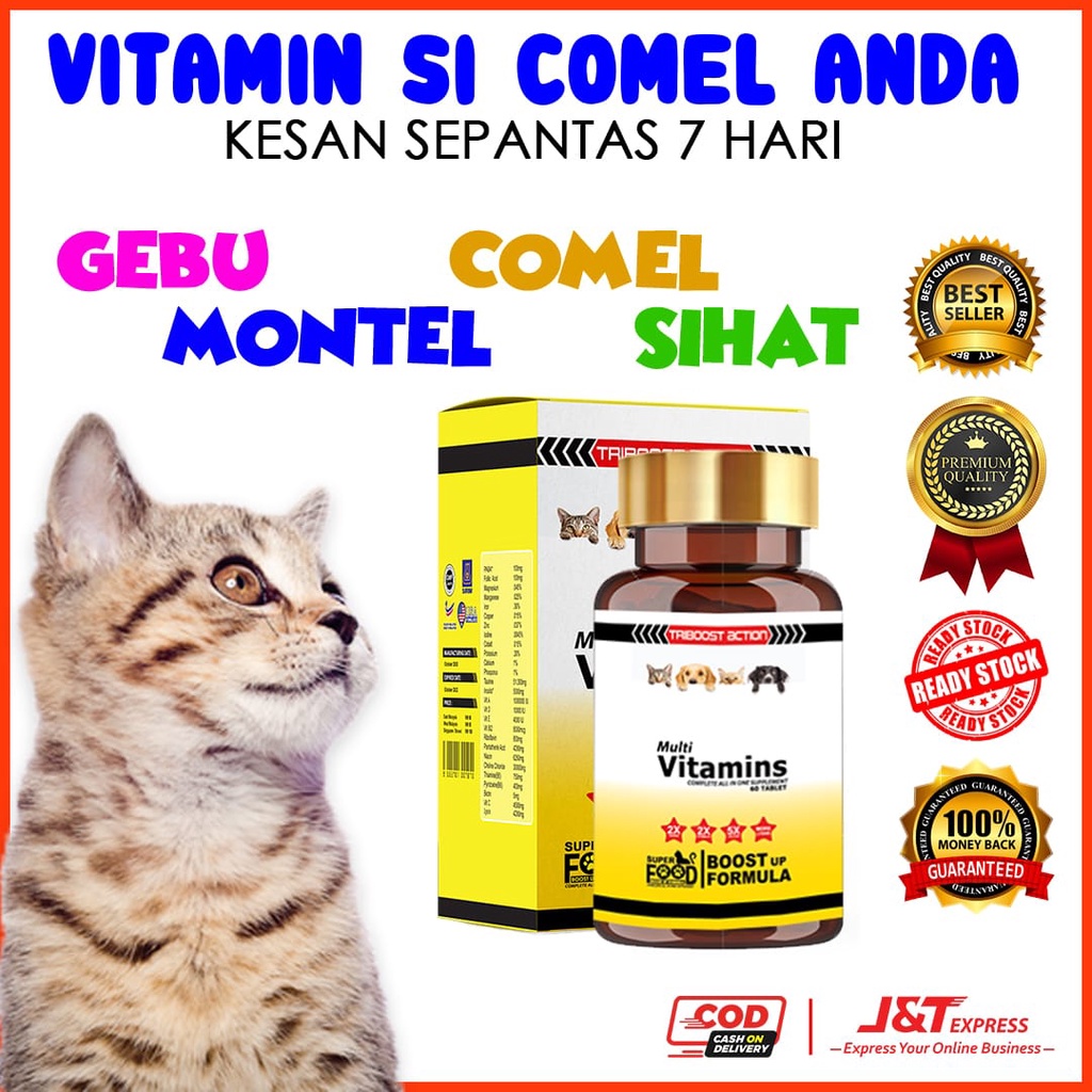 SUPERFOOD Multivitamin Supplement For Cat ( Ubat Untuk Kucing Kurap