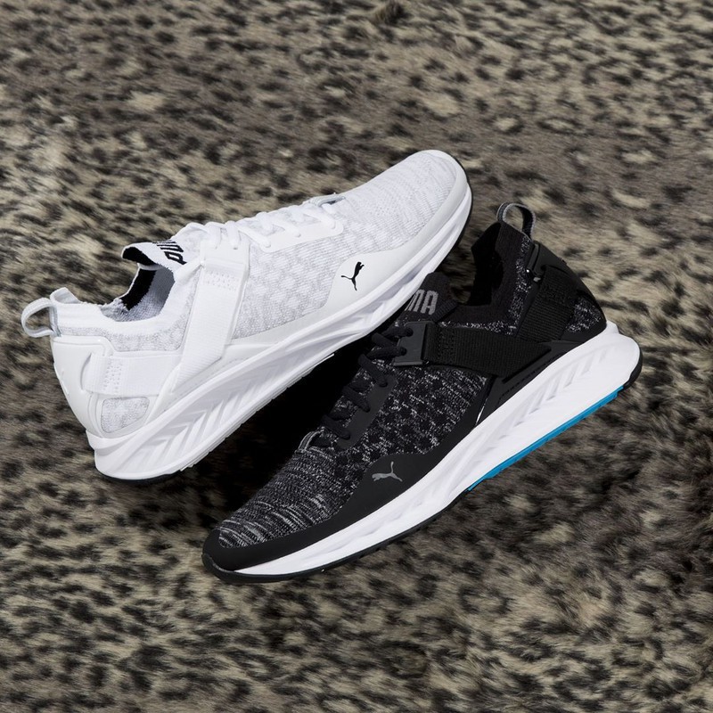 puma ignite evoknit