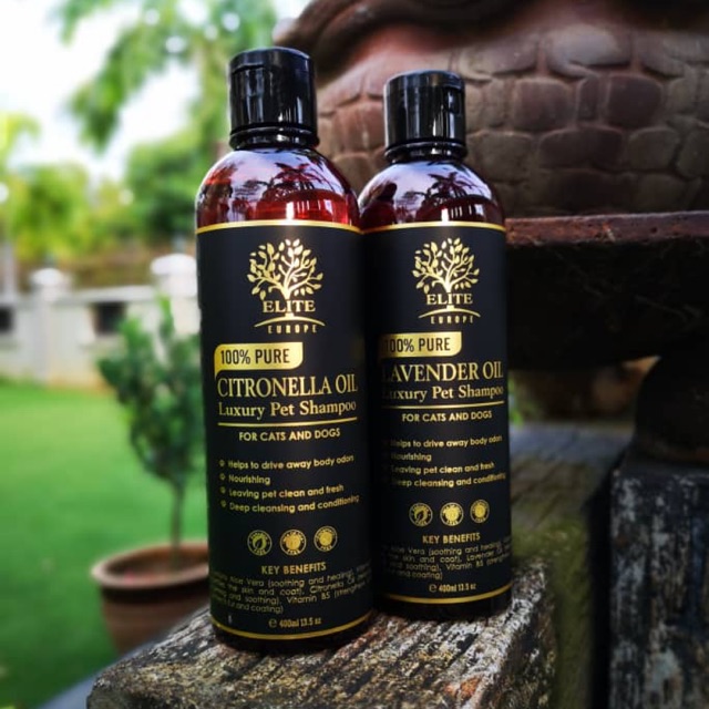 essential oil dog shampoo