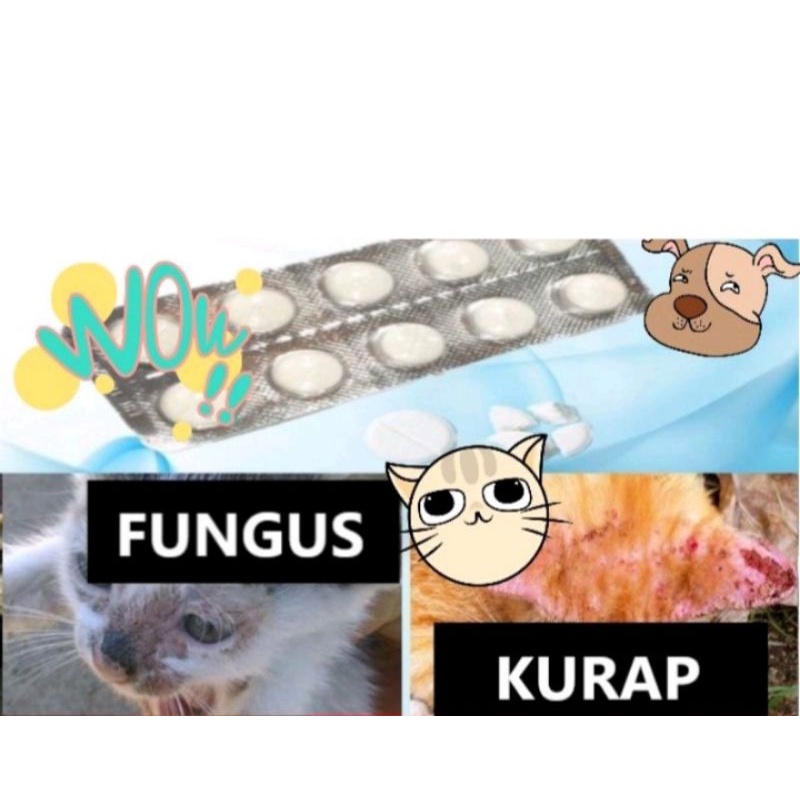 UBAT FUNGUS , KURAP untuk kucing dan anjing ( 10 TABLET )  Shopee Malaysia