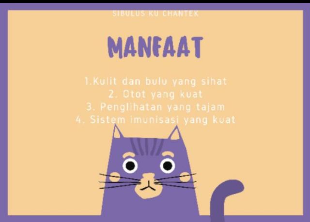 Makanan Kucing Ibu Dan Anak 8kg Shopee Malaysia