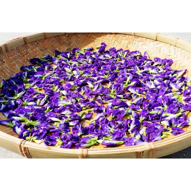 Buy 蝶豆花 蓝花 自家种植 无农药 Butterfly Pea 50g Seetracker Malaysia