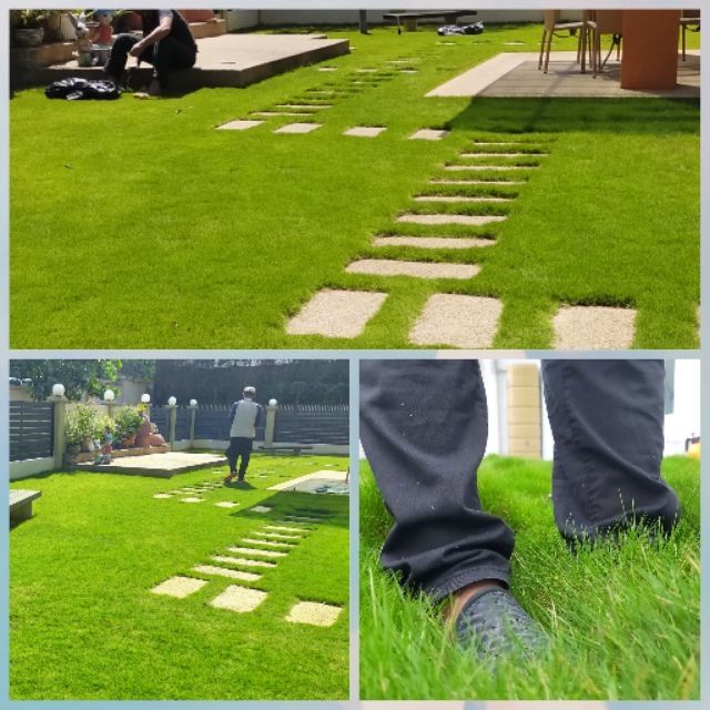 Baja Rumput High Quality Fertilizer Npk 15