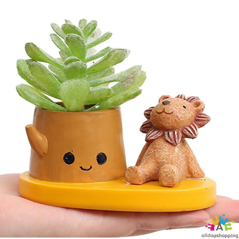 Cute Mini Succulent Plants Pot Desk Flower Pot Shopee Malaysia