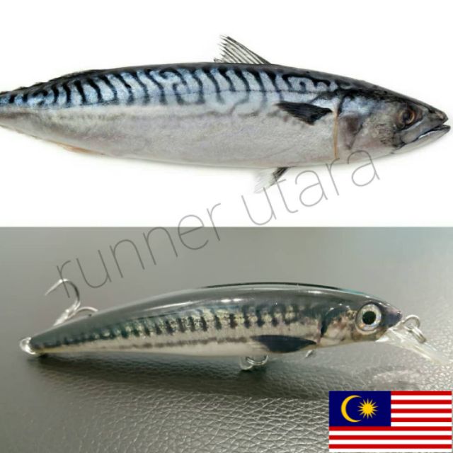 Fishing lure 16cm 30g gewang casting gt tenggiri minnow ikan