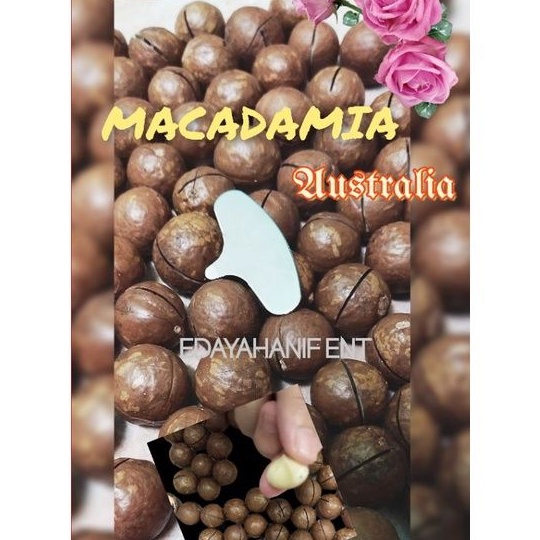 Macadmia Australian Kacang Kunci Shopee Malaysia