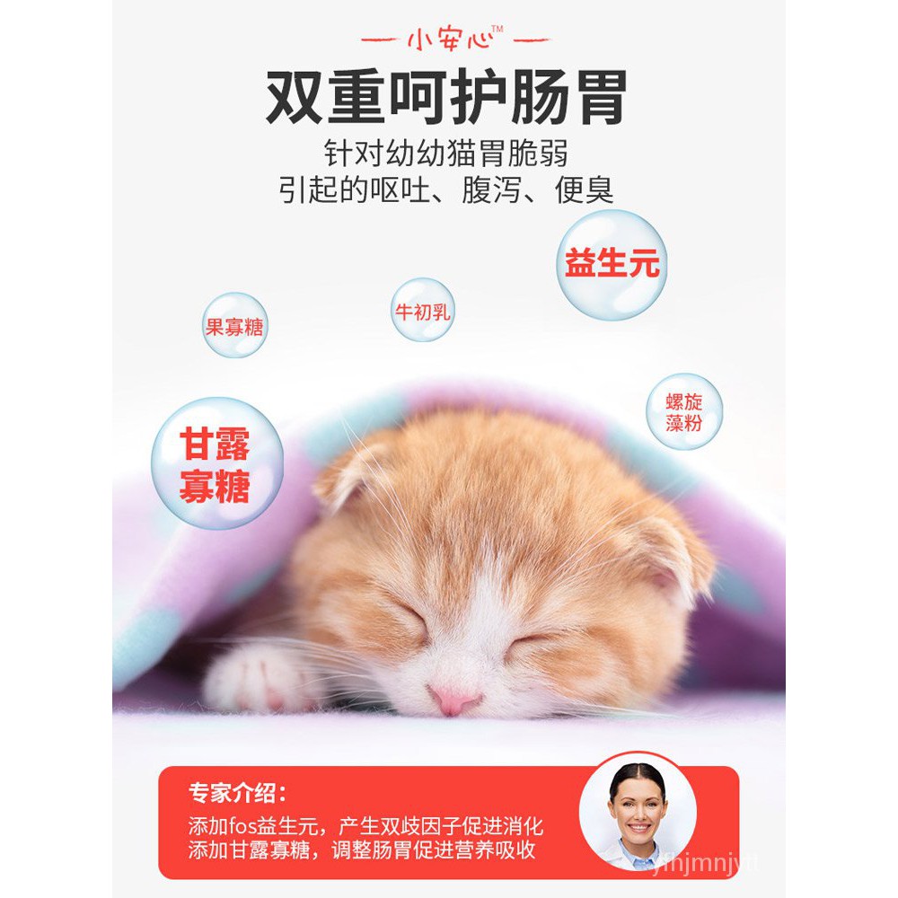 美人喵小安心幼猫猫粮1 12月奶猫期英短增肥营养发腮全价通用奶糕cat Food Containercat Food Dispensercat Food kg Shopee Malaysia