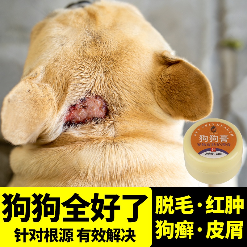 dog-skin-disease-external-use-ointment-treat-dogs-eczema-dermatitis