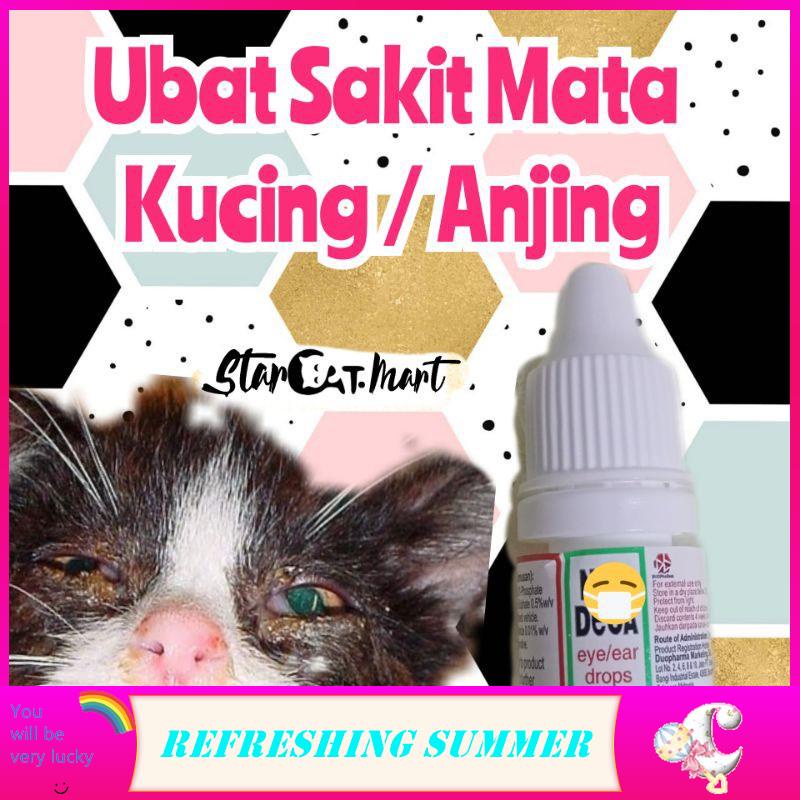 Ubat Kucing Sakit Mata Cara Mudah Rawat Kucing Sakit Mata Guna Kayu