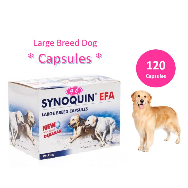 VetPlus Synoquin EFA Large Breed Dog (Over 25 KG) Joint Care 120