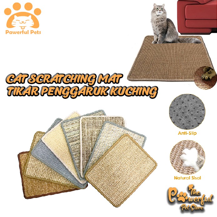 Buy Royal Canin FBN British Shorthair Kitten Original Cat Dry Food 