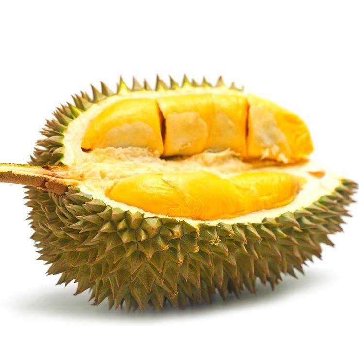 Ready Stock Fruit Seedling Anak Pokok Durian Ditanam Di Dalam Pasu Di Musim Selatan Dan Utara Empat Musim Shopee Malaysia