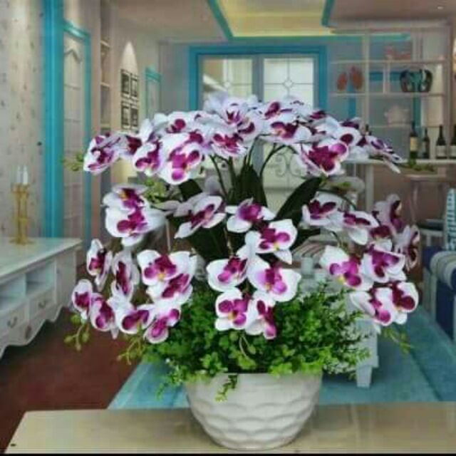 Jambangan Orchid Orkid Free Pasu Shopee Malaysia