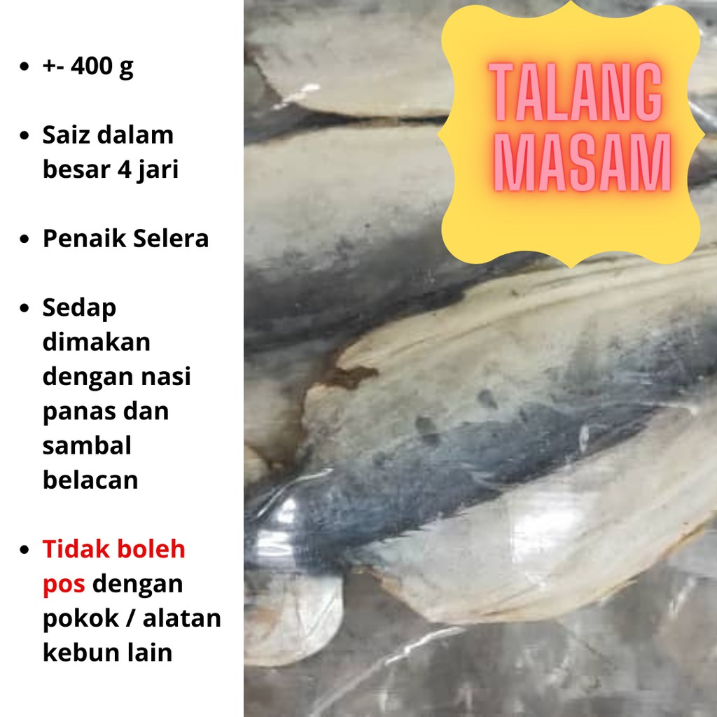 Ikan Talang Masam Sedap Ikan Talang Masin Berkualiti Shopee Malaysia