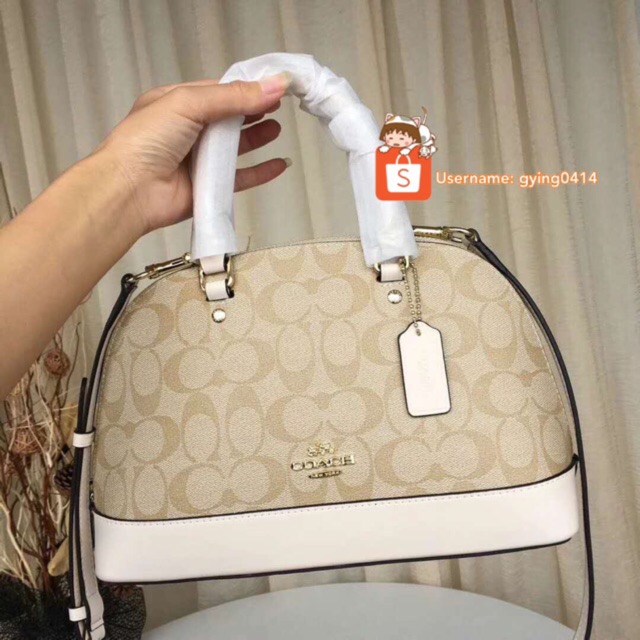 coach chalk bag