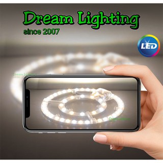 Dream Lighting / circular LED Module magnet LED Circular ...