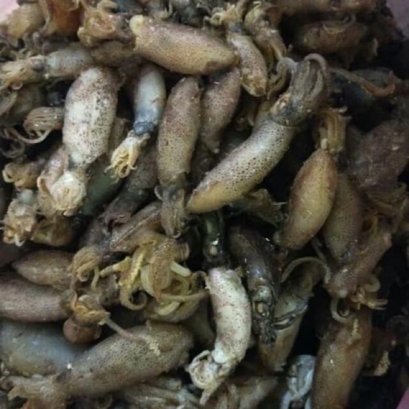 500g Sotong Cumi Cumi Sabah Shopee Malaysia