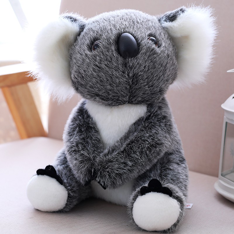 koala teddy bear gifts