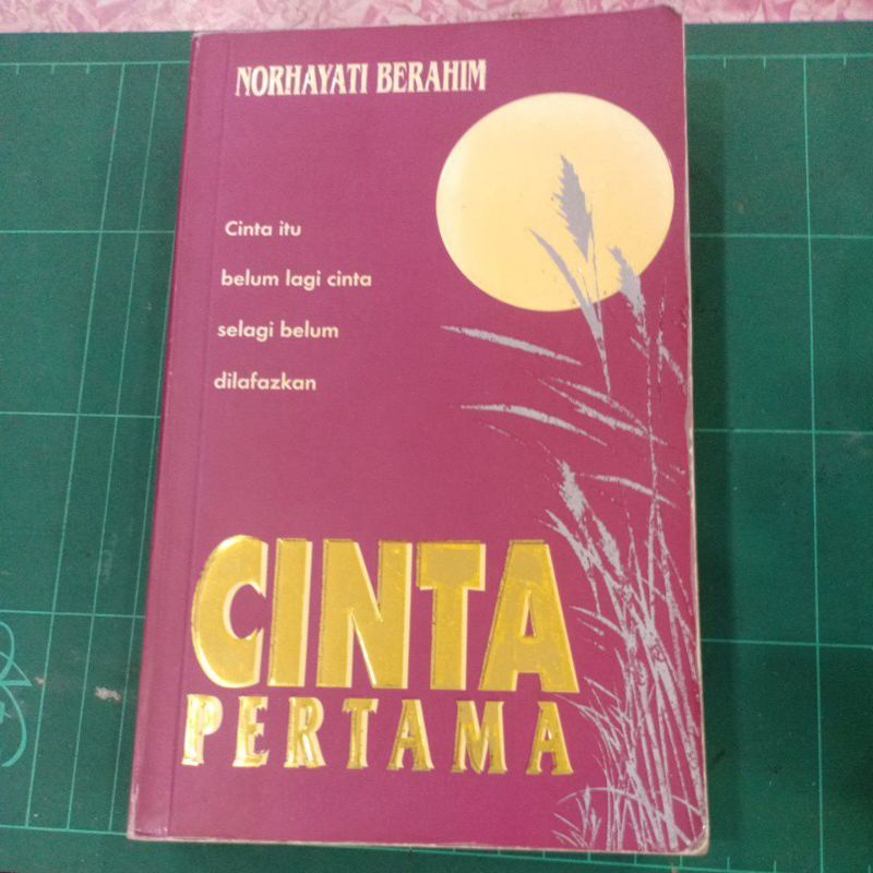 Kelebihan Dan Kekurangan