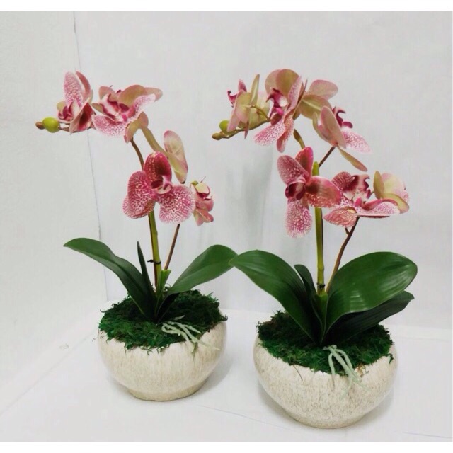  Gubahan bunga orkid tiruan Shopee Malaysia