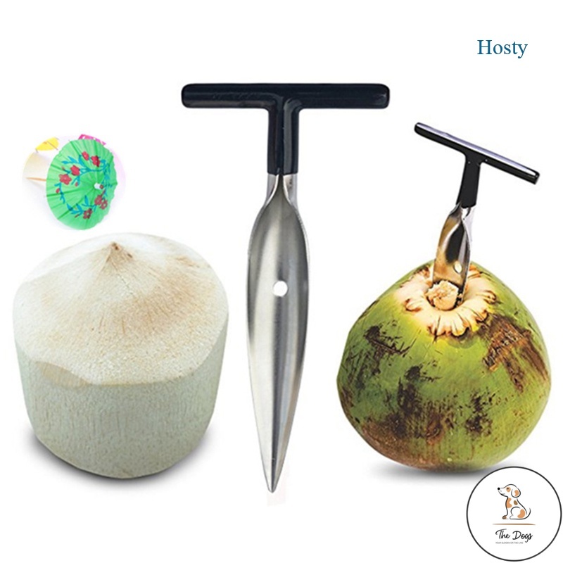 DC Hosty (In Stock)Stainless Steel Coconut Opener Open Coconut Shovel Coconut Punch Tool Open Coconut Drill Empty Tool