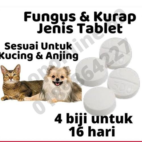 Ubat Fungus Kurap Kucing u0026 Anjing (Kitten u0026 Adult)  Shopee Malaysia