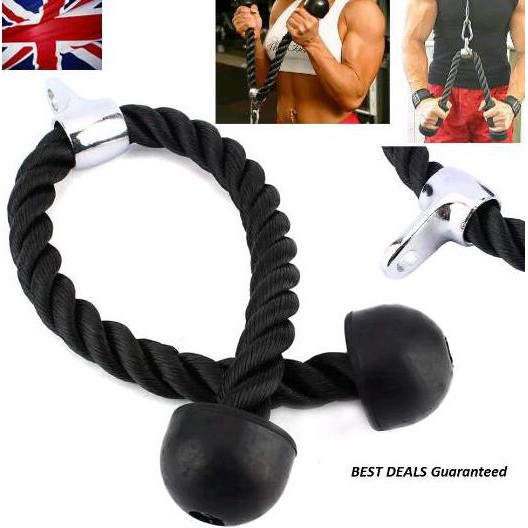 Can Pay For Place Triceps Muscle Exercise Rope. / Triceps Muscle ...
