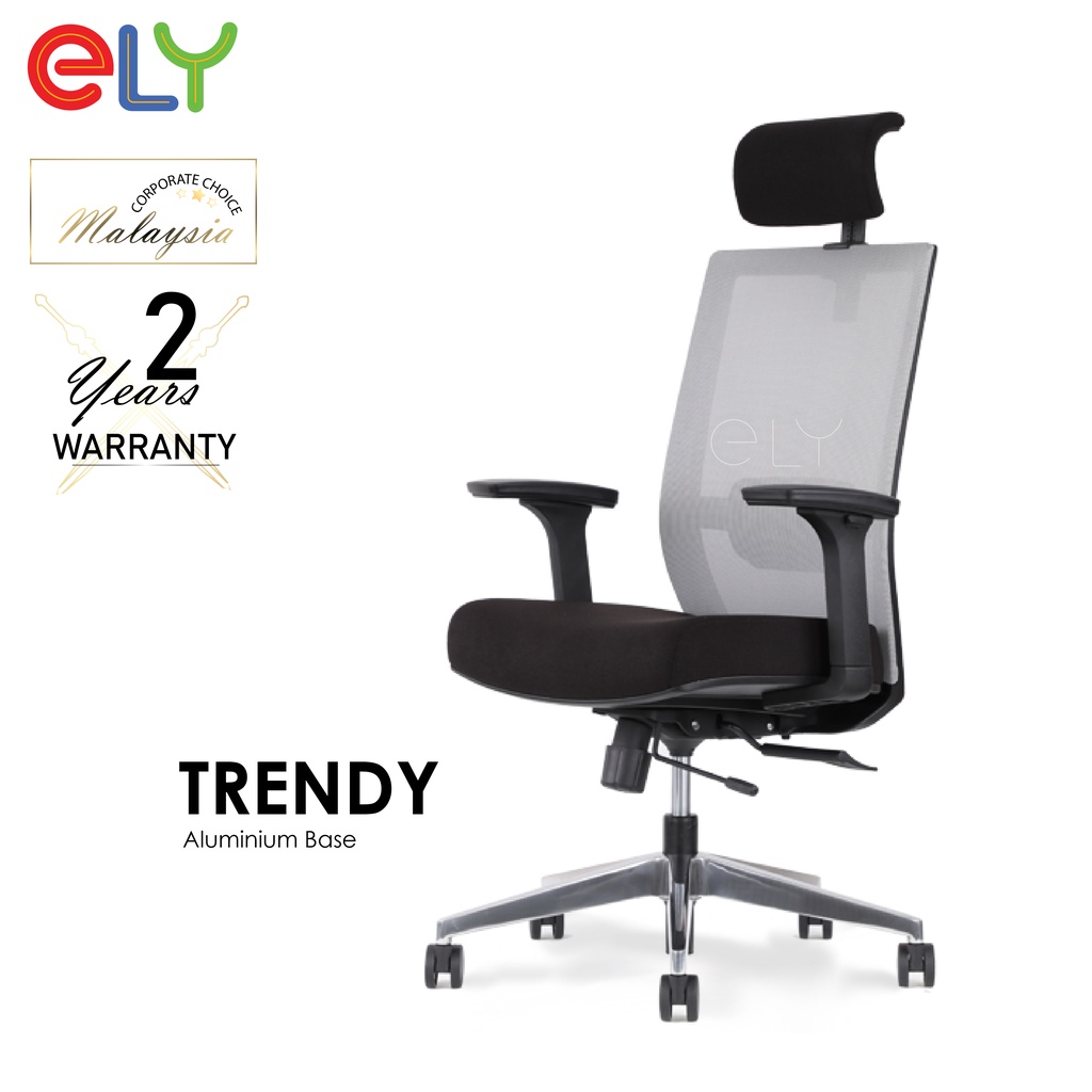 Ely Trendy High Back Medium Back Mesh Aluminum Base Office Chair Ergonomic Chair Ergonomic Office Chair Shopee Malaysia