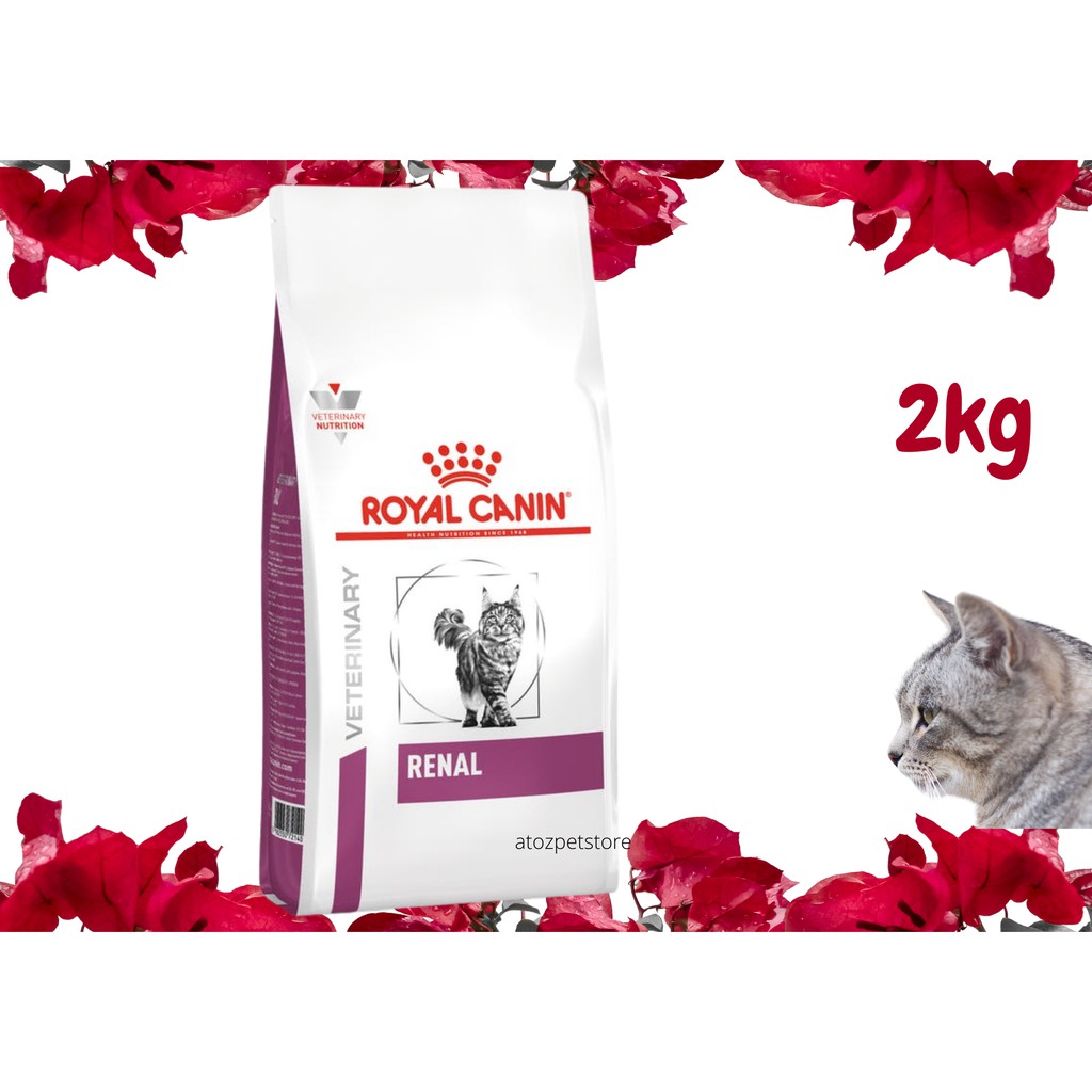 Royal Canin Veterinary Diet Renal Cat 2kg kucing ginjal Shopee Malaysia