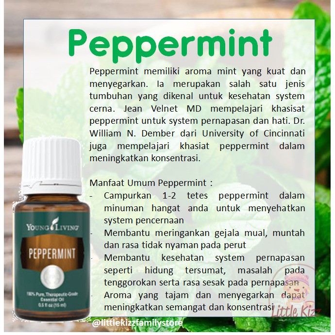 Young Livings Yl Peppermint Essential Oil 15ml Sweethome Sweet Home Free Gift Shopee Malaysia