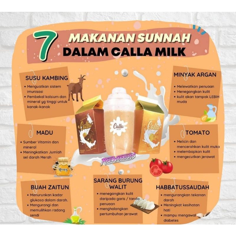 Susu Kambing Sesuai Untuk Ibu Mengandung