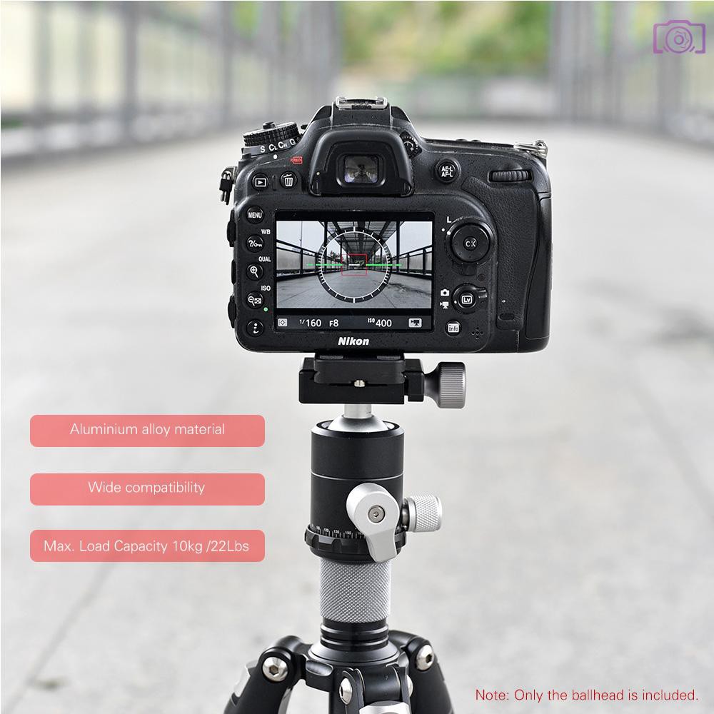 Fotga Metal 360 Degree Swivel Camera Tripod Ball Head Ballhead with 1//4 Screw Quick Release Plate for DSLR Camera Camcoder Video