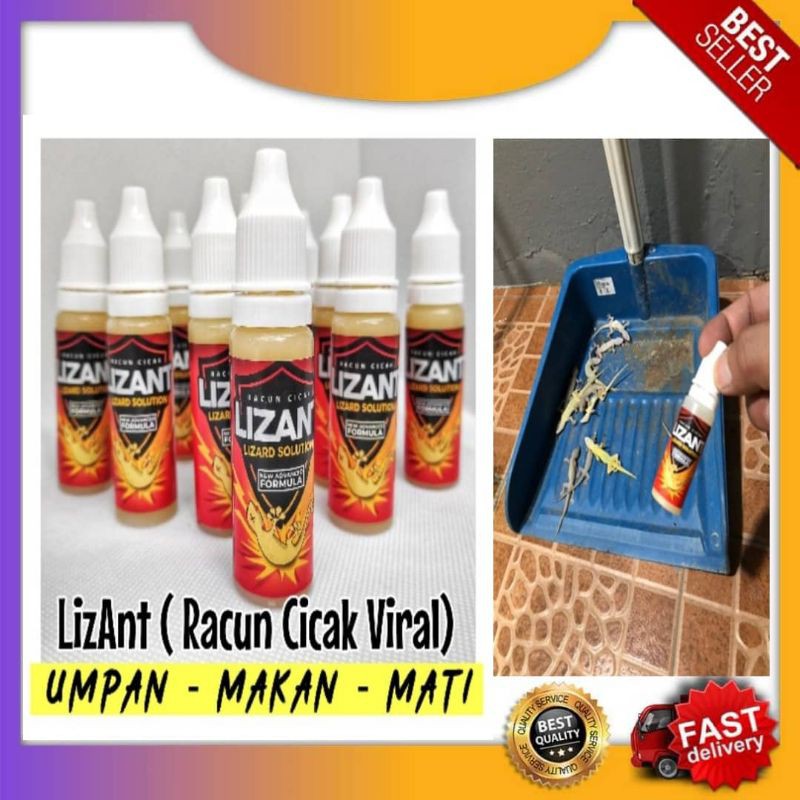Offer Lizant Ubat Cicak Lizard Killer Paling Berkesan Shopee Malaysia