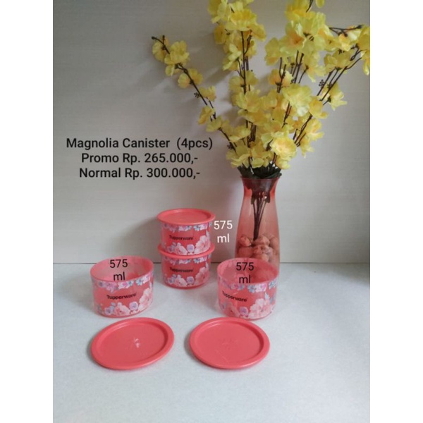 Magnolia canister 570ml Ecer Plastic Jar