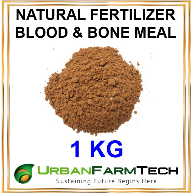 blood meal vs bone meal