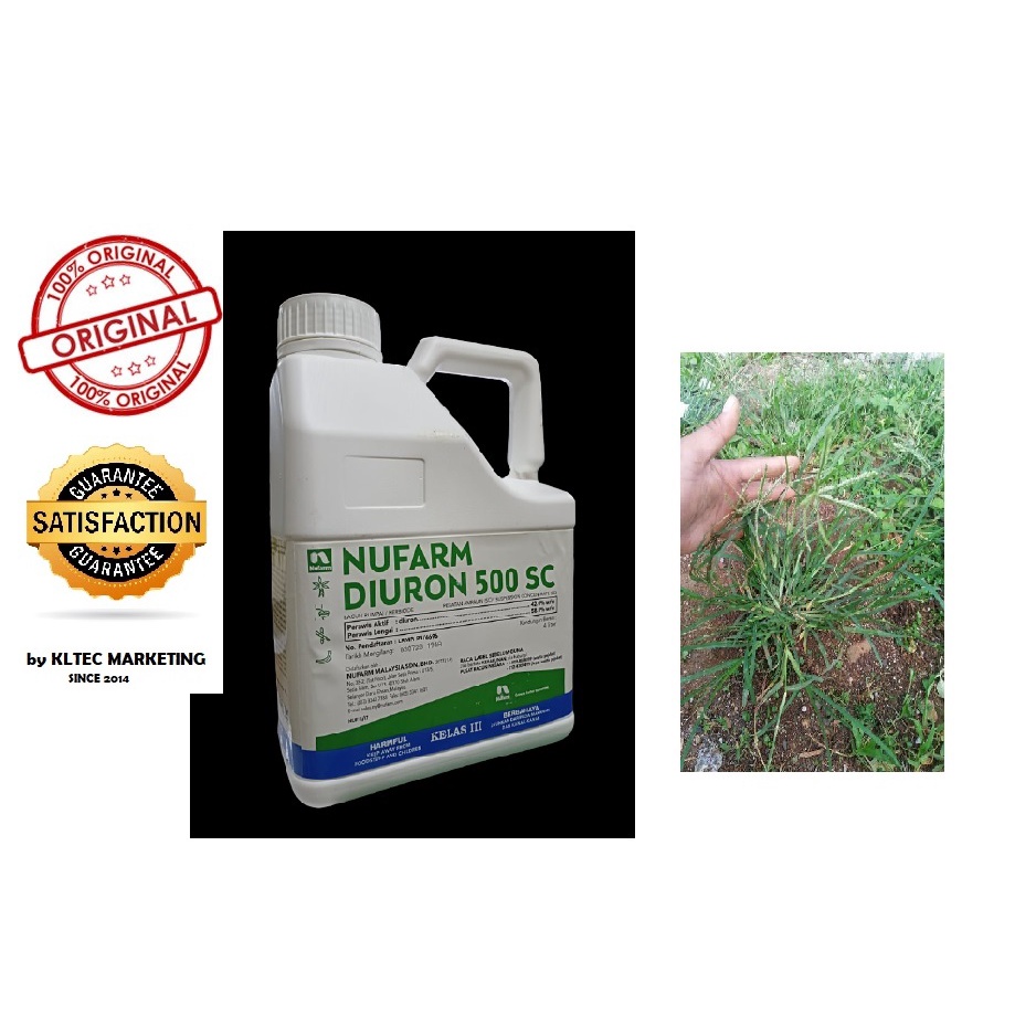 Racun Rumput Sambau Rumput Liar Racun Nufarm Diuron 4l 4 Liter