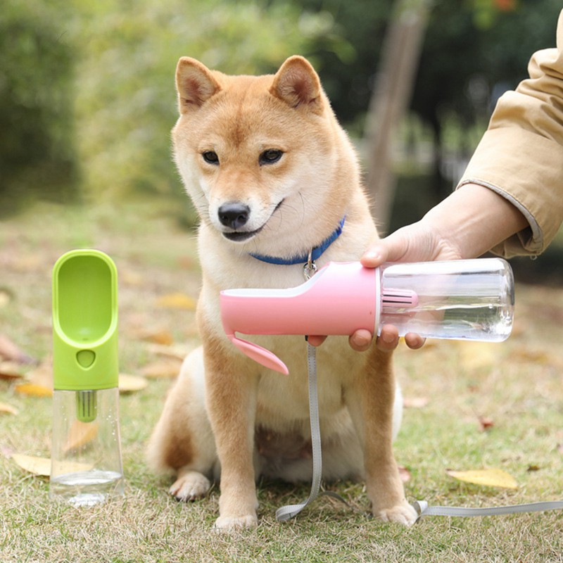 outdoor dog water dispenser