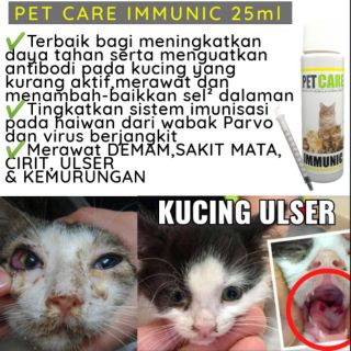 Ubat Flu Kucing - Dralle Damen