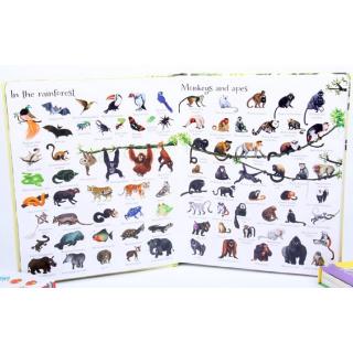 Usborne 1000 Animals English Words Board Picture Book for Children ...