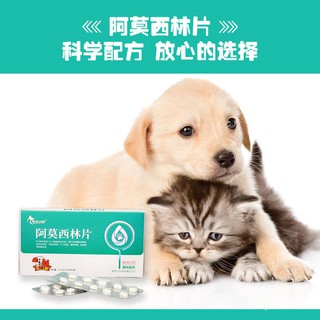 Pet Medical Cats Dogs Kucing 【不怕舔】狗狗皮肤病喷剂真菌螨虫止痒 