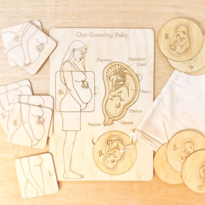 Pre Order My Growing Baby Pregnancy Puzzle Shopee Malaysia