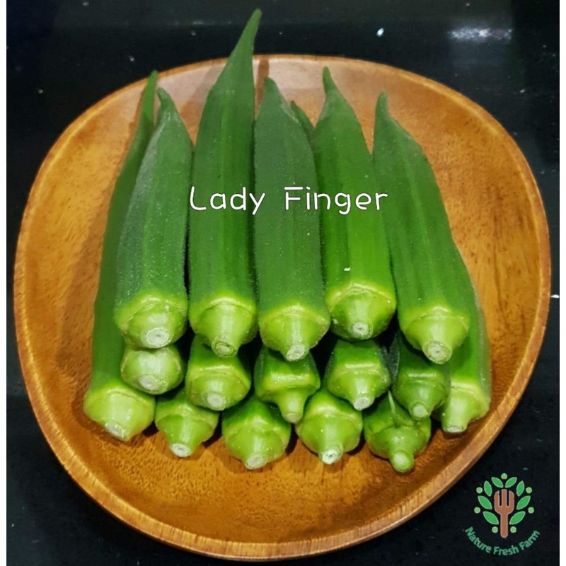 Buy Klang Valley Only Organic Bendi Lady Fingers 有机羊角豆 200gram Direct From Own Organic Farm Seetracker Malaysia
