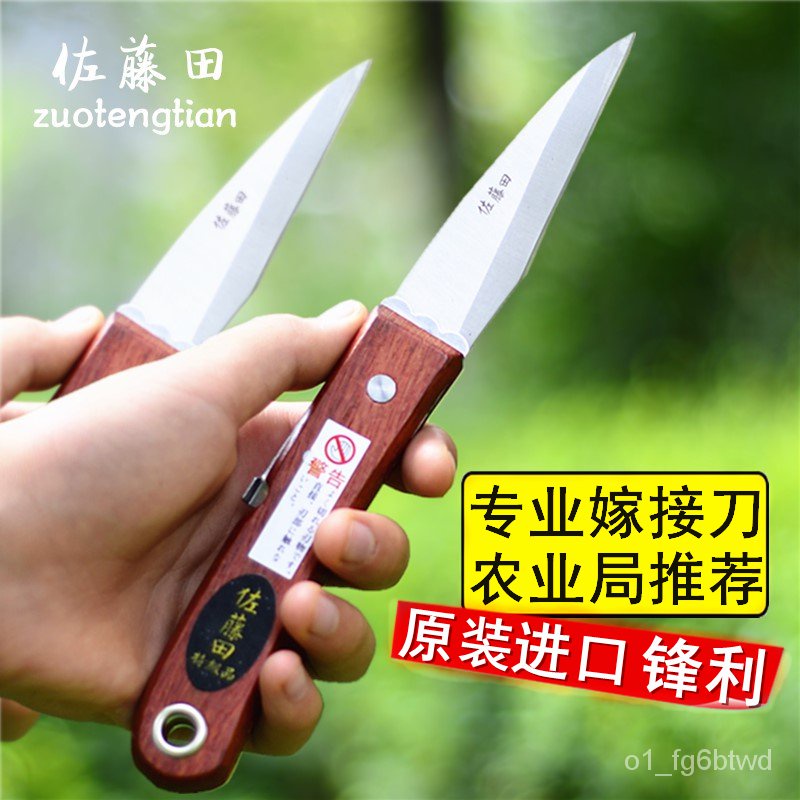 Fruit Tree Grafting Knife Imported Fruit Tree Grafting Knife Seedling