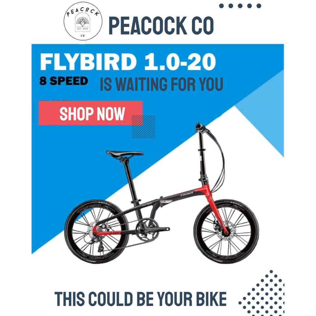 folding bike trinx flybird 4.0