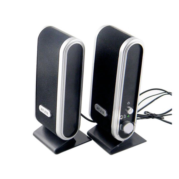 speaker with audio jack