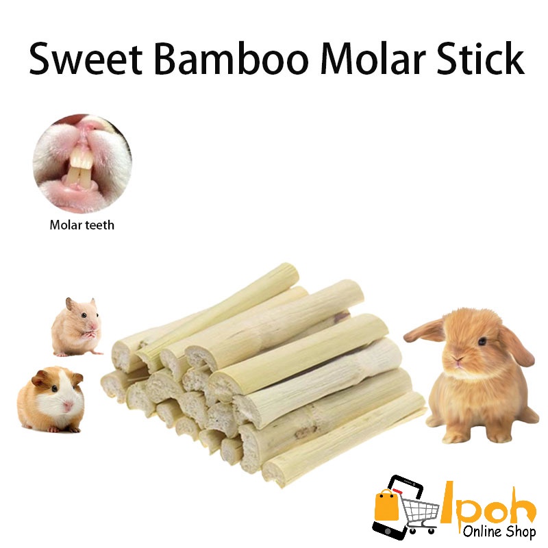 Sweet Bamboo Molar Sticks 100g for Chinchilla, Guinea Pigs, Hamsters,  Rabbits, Parrots and Other Small Animals | Shopee Malaysia