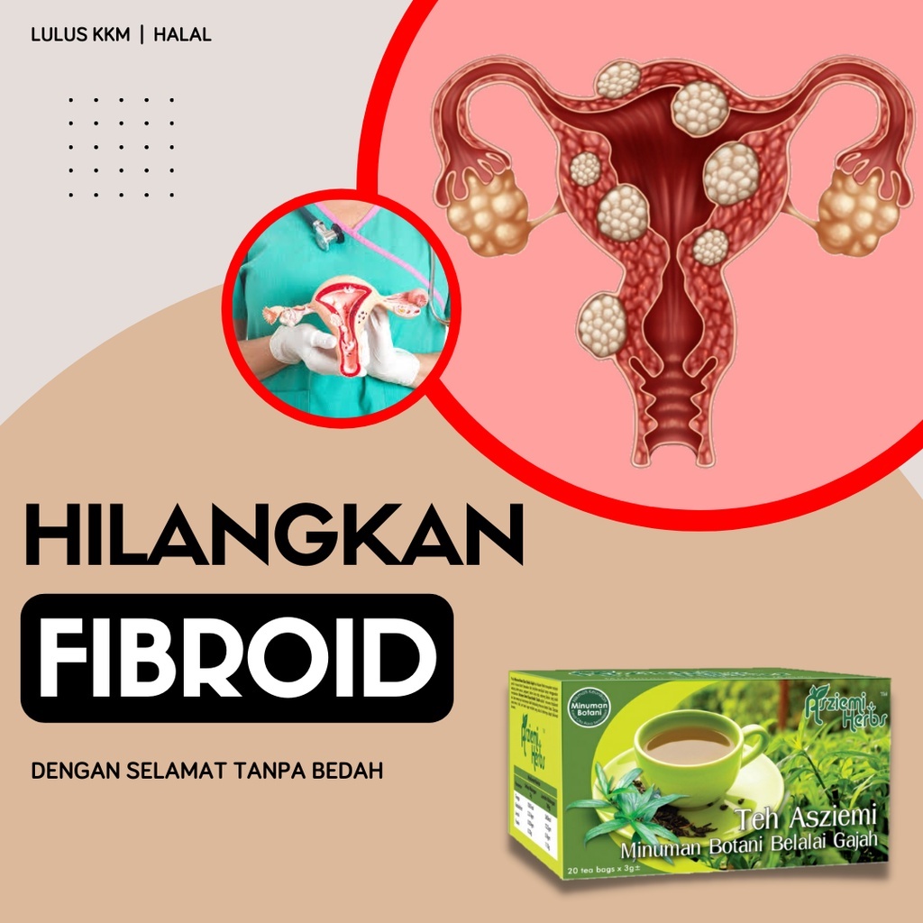Kecutkan Fibroid Teh Belalai Gajah