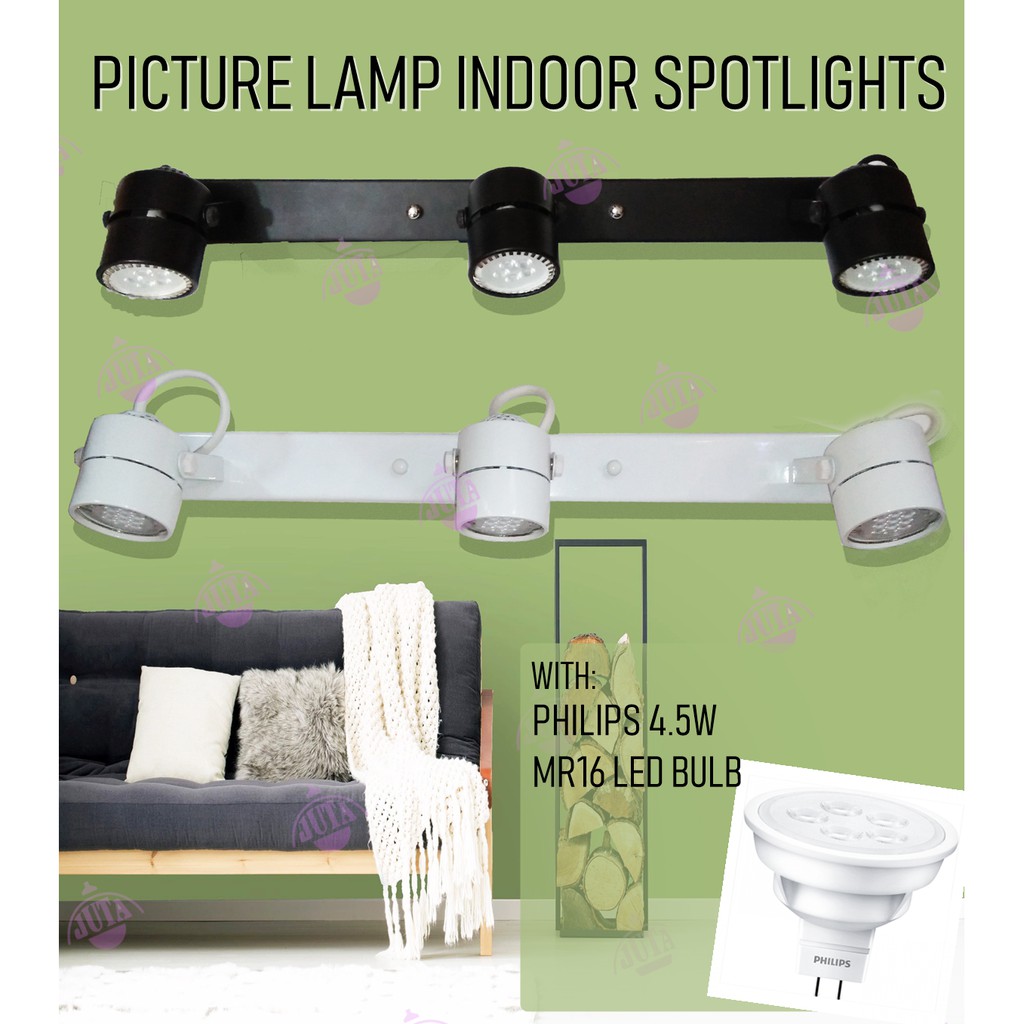 Decorative Indoor Spotlight Picture Lamp 3 In 1 C W Philips Mr16