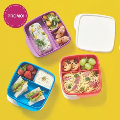 Ridhi Sidhi Tupperware Divided Duo 1 Containers Lunch Box 